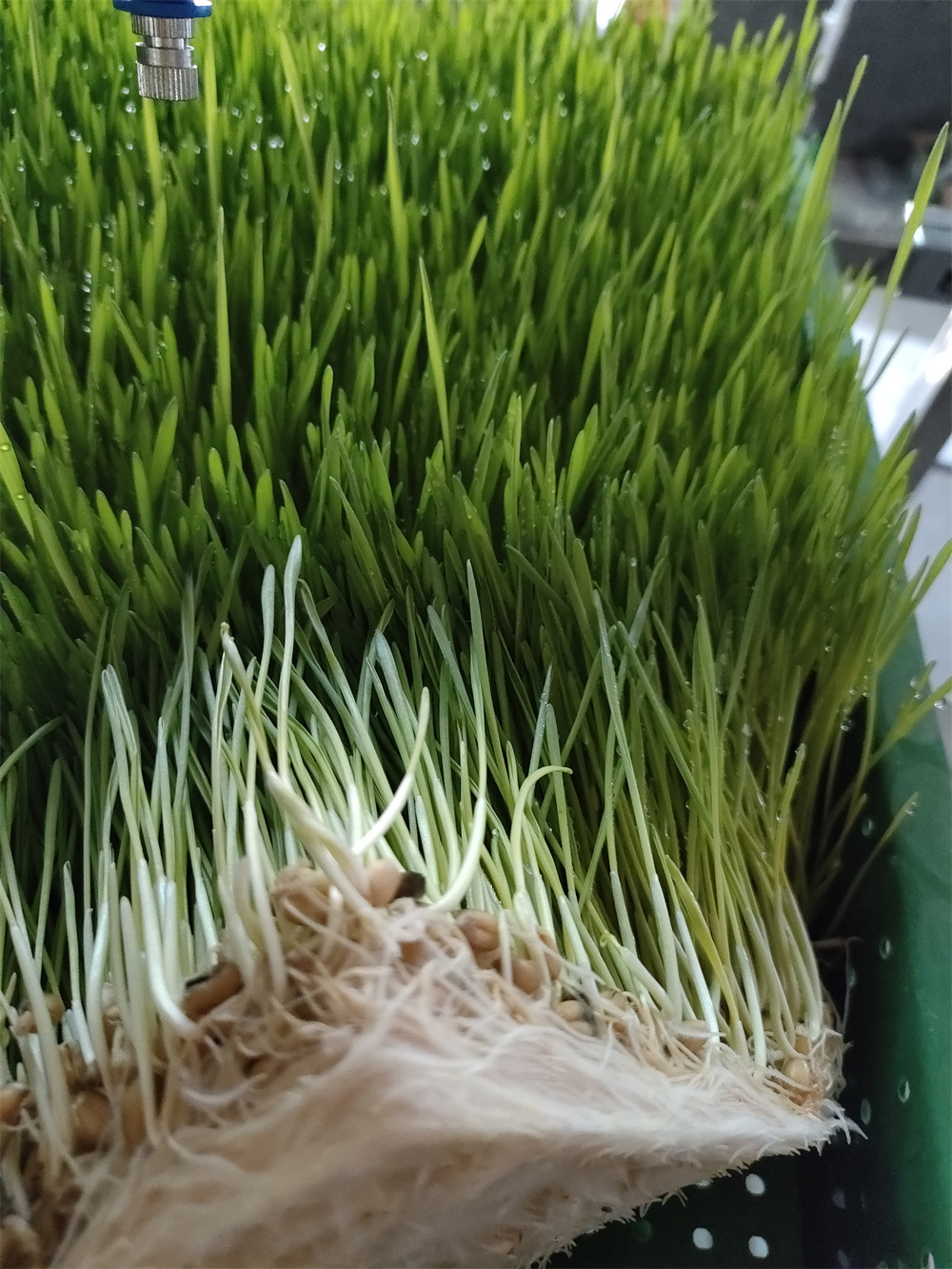 案例实拍
